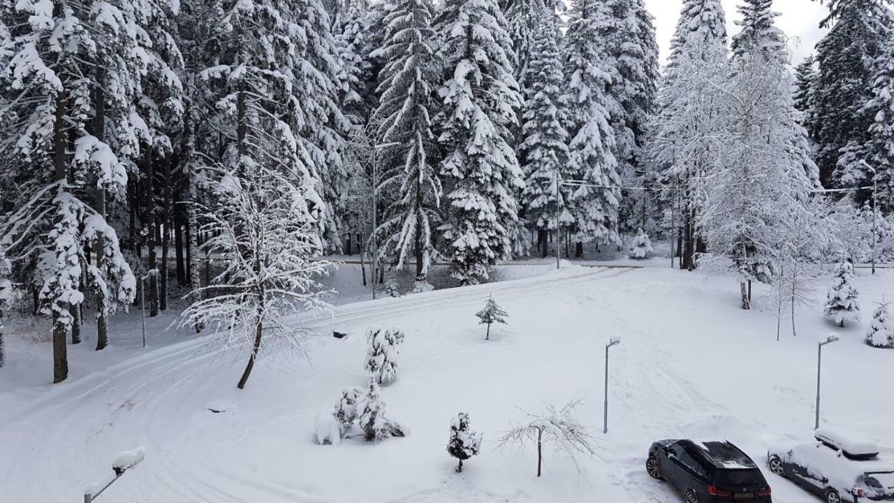 Apartmán Borovest Garden. Borovec Exteriér fotografie
